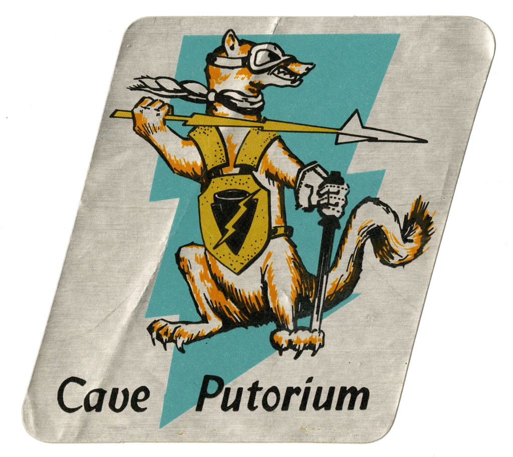 Official Society of Wild Weasels Patch